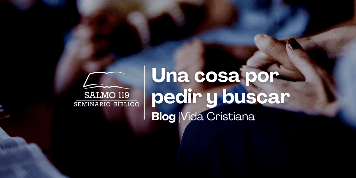 Una cosa por pedir y buscar